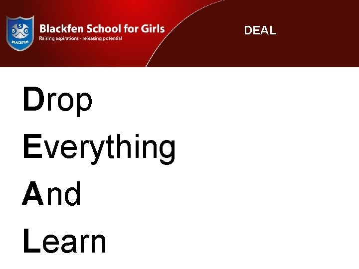 DEAL Drop Everything And Learn 