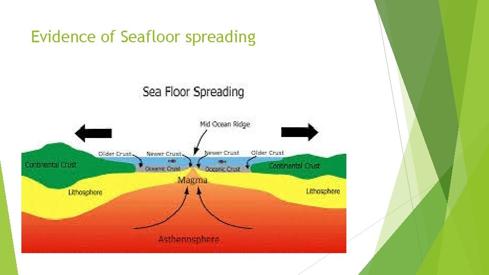 Evidence of Seafloor spreading 