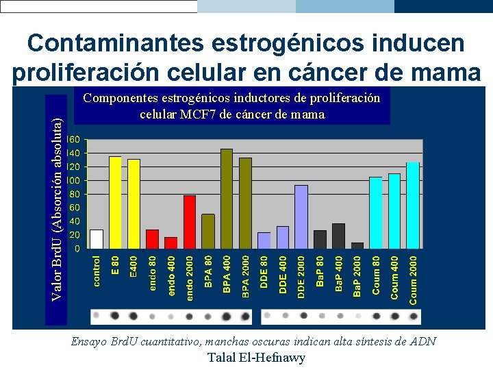 Valor Brd. U (Absorción absoluta) Contaminantes estrogénicos inducen proliferación celular en cáncer de mama