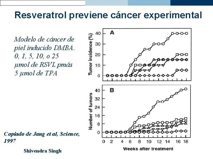 Resveratrol previene cáncer experimental Modelo de cáncer de piel inducido DMBA. 0, 1, 5,
