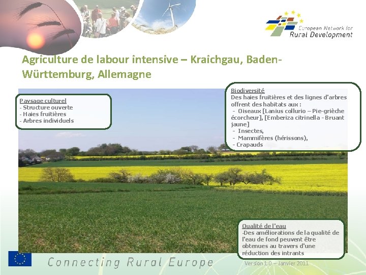 Agriculture de labour intensive – Kraichgau, Baden. Württemburg, Allemagne Paysage culturel - Structure ouverte