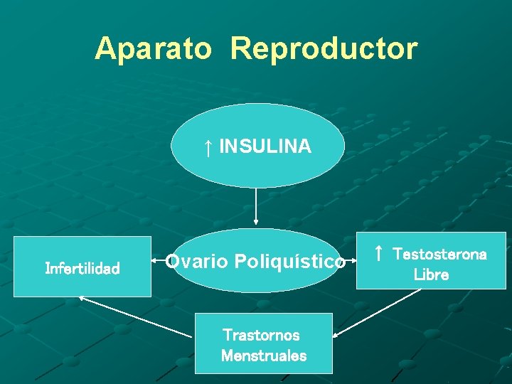 Aparato Reproductor ↑ INSULINA Infertilidad Ovario Poliquístico Trastornos Menstruales ↑ Testosterona Libre 