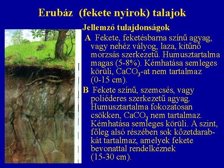 Erubáz (fekete nyirok) talajok Jellemző tulajdonságok A Fekete, feketésbarna színű agyag, vagy nehéz vályog, Erubáz (fekete nyirok) talajok Jellemző tulajdonságok A Fekete, feketésbarna színű agyag, vagy nehéz vályog,
