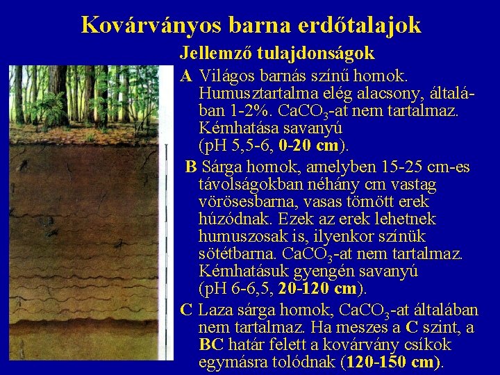 Kovárványos barna erdőtalajok Jellemző tulajdonságok A Világos barnás színű homok. Humusztartalma elég alacsony, általában Kovárványos barna erdőtalajok Jellemző tulajdonságok A Világos barnás színű homok. Humusztartalma elég alacsony, általában