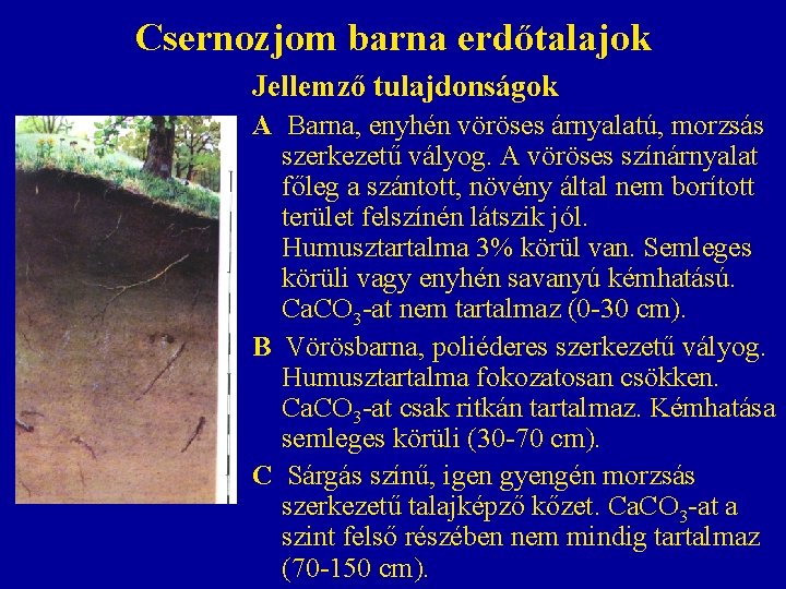 Csernozjom barna erdőtalajok Jellemző tulajdonságok A Barna, enyhén vöröses árnyalatú, morzsás szerkezetű vályog. A Csernozjom barna erdőtalajok Jellemző tulajdonságok A Barna, enyhén vöröses árnyalatú, morzsás szerkezetű vályog. A
