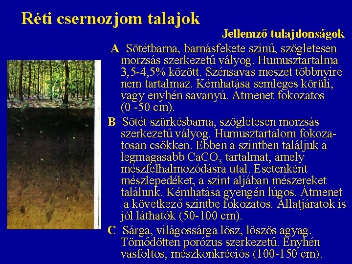 Réti csernozjom talajok Jellemző tulajdonságok A Sötétbarna, barnásfekete színű, szögletesen morzsás szerkezetű vályog. Humusztartalma Réti csernozjom talajok Jellemző tulajdonságok A Sötétbarna, barnásfekete színű, szögletesen morzsás szerkezetű vályog. Humusztartalma