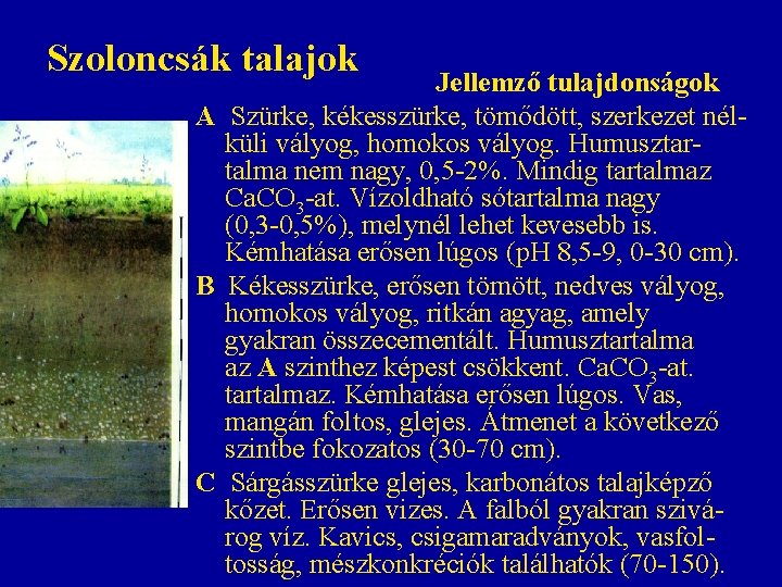 Szoloncsák talajok Jellemző tulajdonságok A Szürke, kékesszürke, tömődött, szerkezet nélküli vályog, homokos vályog. Humusztartalma Szoloncsák talajok Jellemző tulajdonságok A Szürke, kékesszürke, tömődött, szerkezet nélküli vályog, homokos vályog. Humusztartalma