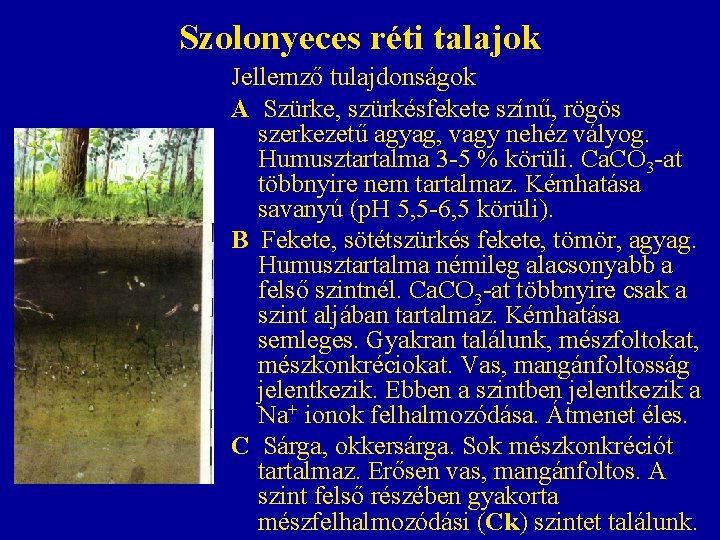 Szolonyeces réti talajok Jellemző tulajdonságok A Szürke, szürkésfekete színű, rögös szerkezetű agyag, vagy nehéz Szolonyeces réti talajok Jellemző tulajdonságok A Szürke, szürkésfekete színű, rögös szerkezetű agyag, vagy nehéz