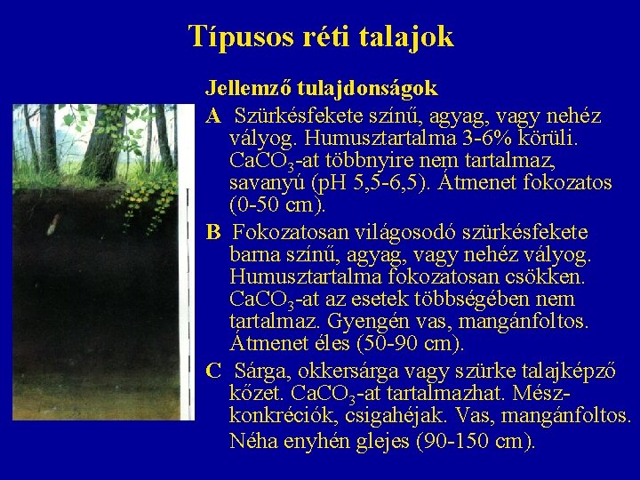 Típusos réti talajok Jellemző tulajdonságok A Szürkésfekete színű, agyag, vagy nehéz vályog. Humusztartalma 3 Típusos réti talajok Jellemző tulajdonságok A Szürkésfekete színű, agyag, vagy nehéz vályog. Humusztartalma 3