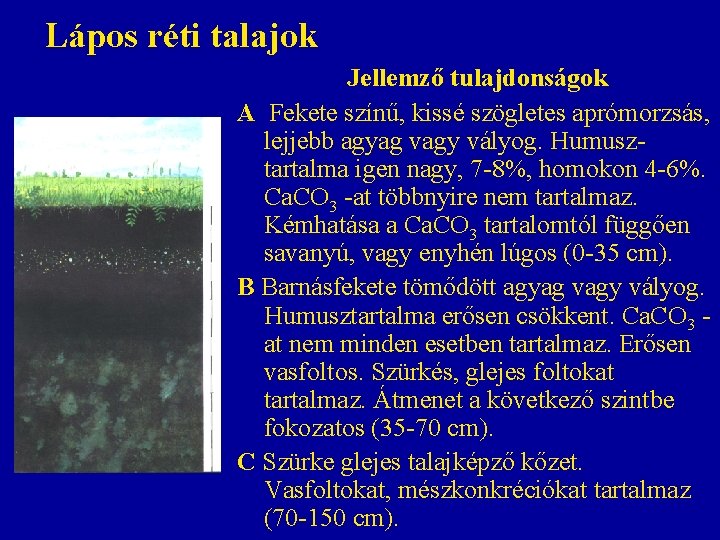 Lápos réti talajok Jellemző tulajdonságok A Fekete színű, kissé szögletes aprómorzsás, lejjebb agyag vagy Lápos réti talajok Jellemző tulajdonságok A Fekete színű, kissé szögletes aprómorzsás, lejjebb agyag vagy