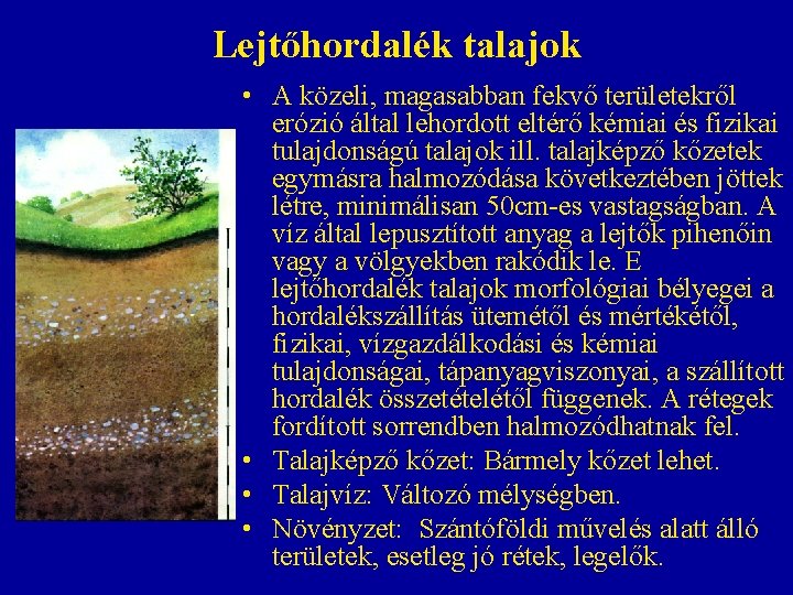 Lejtőhordalék talajok • A közeli, magasabban fekvő területekről erózió által lehordott eltérő kémiai és Lejtőhordalék talajok • A közeli, magasabban fekvő területekről erózió által lehordott eltérő kémiai és
