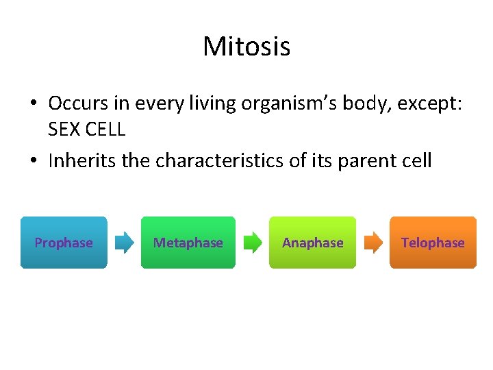 Mitosis • Occurs in every living organism’s body, except: SEX CELL • Inherits the