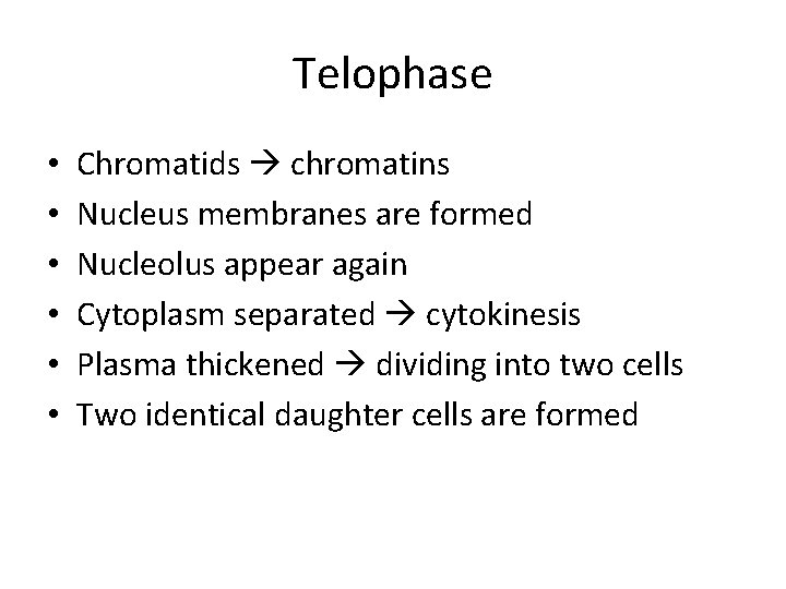 Telophase • • • Chromatids chromatins Nucleus membranes are formed Nucleolus appear again Cytoplasm