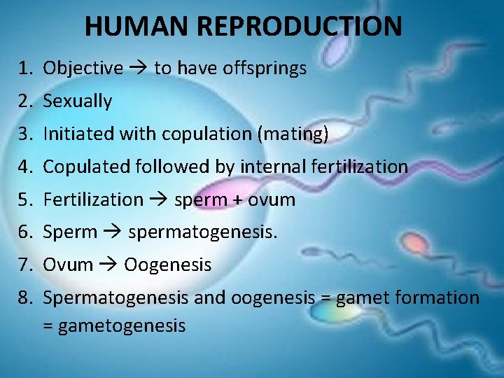 HUMAN REPRODUCTION 1. Objective to have offsprings 2. Sexually 3. Initiated with copulation (mating)