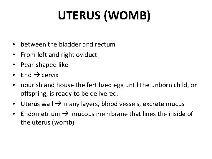 UTERUS (WOMB) between the bladder and rectum From left and right oviduct Pear-shaped like