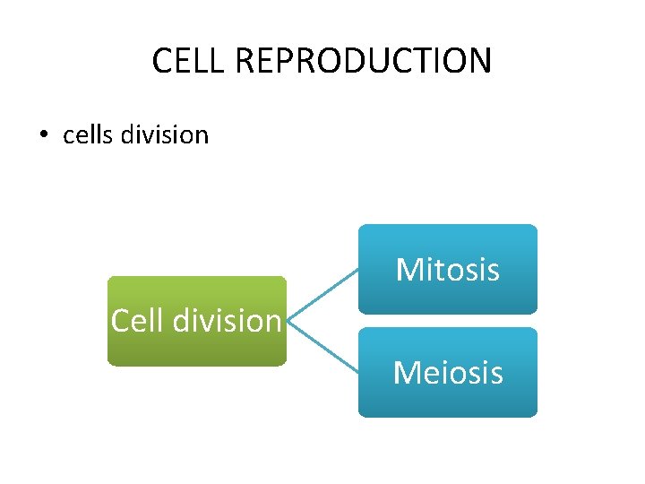 CELL REPRODUCTION • cells division Mitosis Cell division Meiosis 