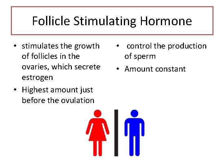 Follicle Stimulating Hormone • stimulates the growth of follicles in the ovaries, which secrete