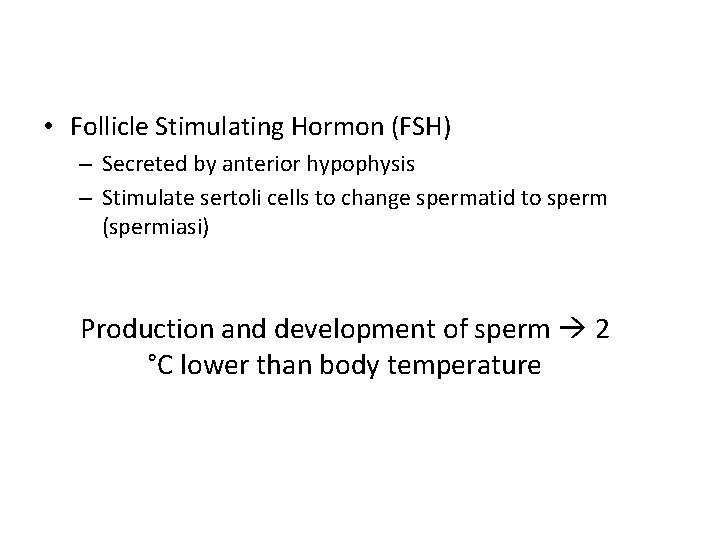  • Follicle Stimulating Hormon (FSH) – Secreted by anterior hypophysis – Stimulate sertoli