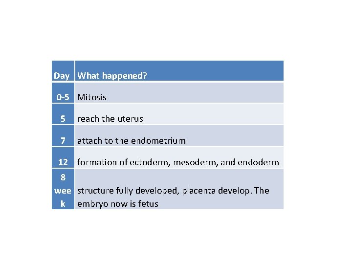Day What happened? 0 -5 Mitosis 5 reach the uterus 7 attach to the