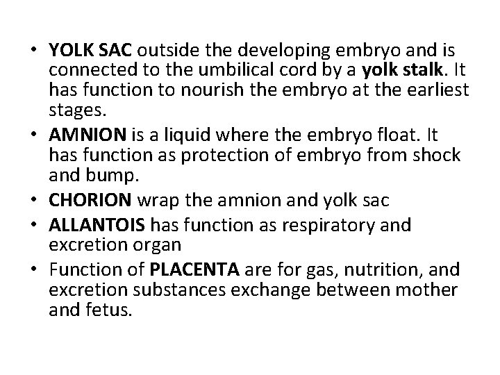  • YOLK SAC outside the developing embryo and is connected to the umbilical