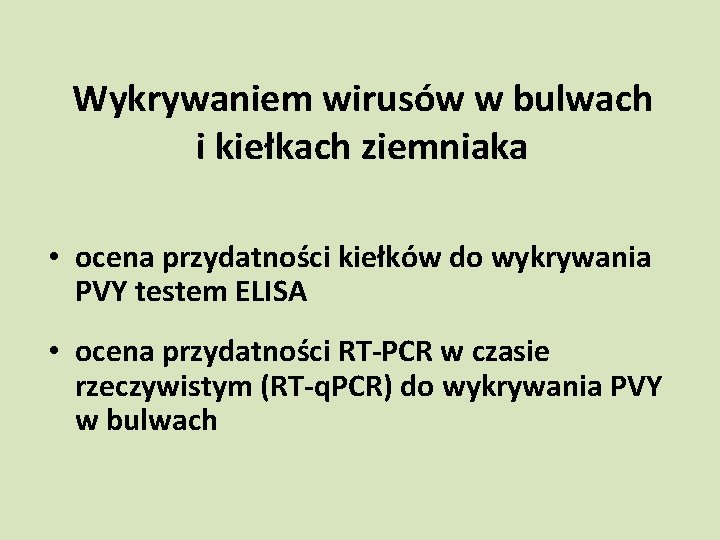 Wykrywaniem wirusów w bulwach i kiełkach ziemniaka • ocena przydatności kiełków do wykrywania PVY