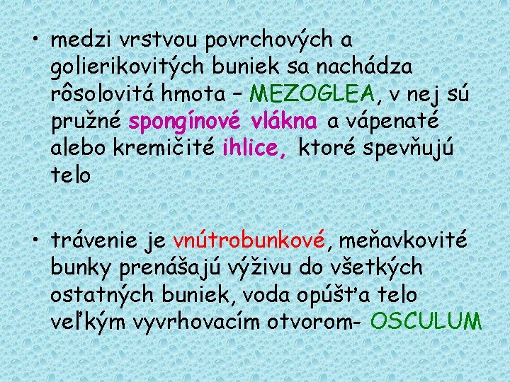  • medzi vrstvou povrchových a golierikovitých buniek sa nachádza rôsolovitá hmota – MEZOGLEA,