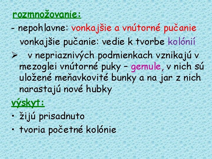 rozmnožovanie: - nepohlavne: vonkajšie a vnútorné pučanie vonkajšie pučanie: vedie k tvorbe kolónií Ø