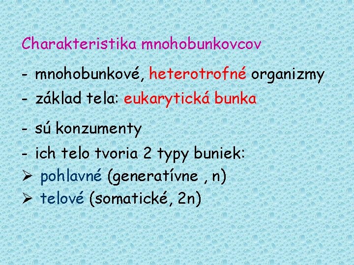 Charakteristika mnohobunkovcov - mnohobunkové, heterotrofné organizmy - základ tela: eukarytická bunka - sú konzumenty