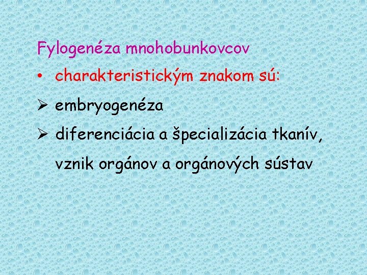 Fylogenéza mnohobunkovcov • charakteristickým znakom sú: Ø embryogenéza Ø diferenciácia a špecializácia tkanív, vznik