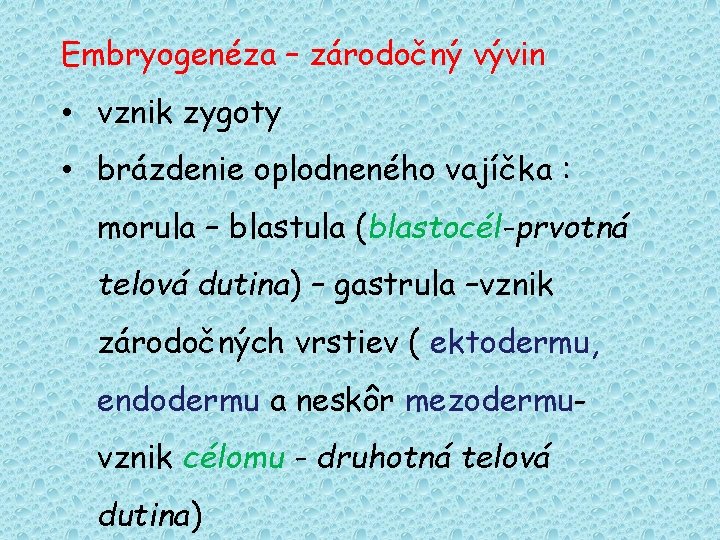 Embryogenéza – zárodočný vývin • vznik zygoty • brázdenie oplodneného vajíčka : morula –