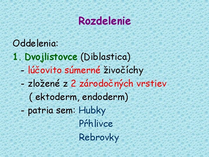 Rozdelenie Oddelenia: 1. Dvojlistovce (Diblastica) - lúčovito súmerné živočíchy - zložené z 2 zárodočných