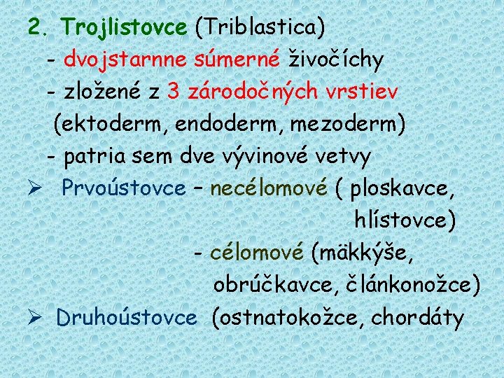 2. Trojlistovce (Triblastica) - dvojstarnne súmerné živočíchy - zložené z 3 zárodočných vrstiev (ektoderm,