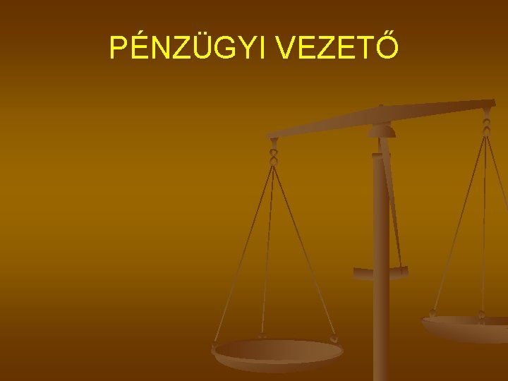 PÉNZÜGYI VEZETŐ 