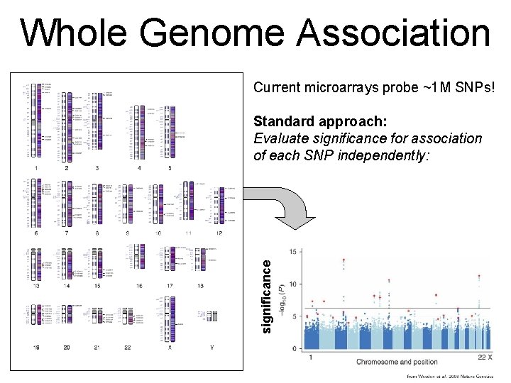 Whole Genome Association Current microarrays probe ~1 M SNPs! significance Standard approach: Evaluate significance