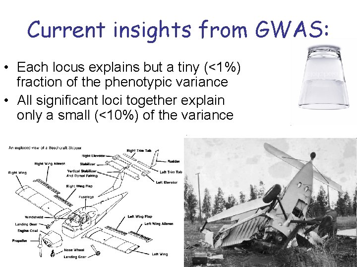 Current insights from GWAS: • Each locus explains but a tiny (<1%) fraction of