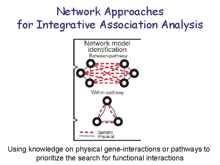 Network Approaches for Integrative Association Analysis Using knowledge on physical gene-interactions or pathways to