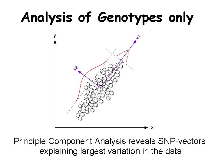 Analysis of Genotypes only Principle Component Analysis reveals SNP-vectors explaining largest variation in the