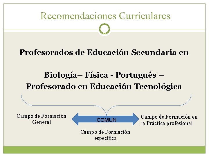 Recomendaciones Curriculares Profesorados de Educación Secundaria en Biología– Física - Portugués – Profesorado en