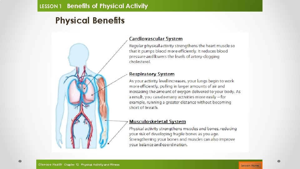 LESSON 1 Benefits of Physical Activity Physical Benefits Glencoe Health Chapter 12 Physical Activity