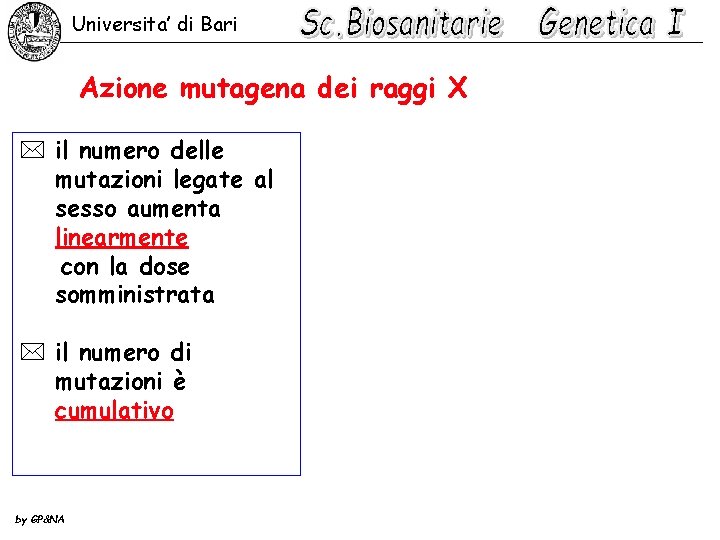 Universita’ di Bari Azione mutagena dei raggi X * il numero delle mutazioni legate