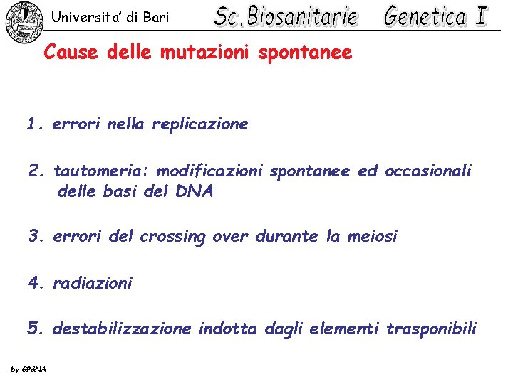 Universita’ di Bari Cause delle mutazioni spontanee 1. errori nella replicazione 2. tautomeria: modificazioni