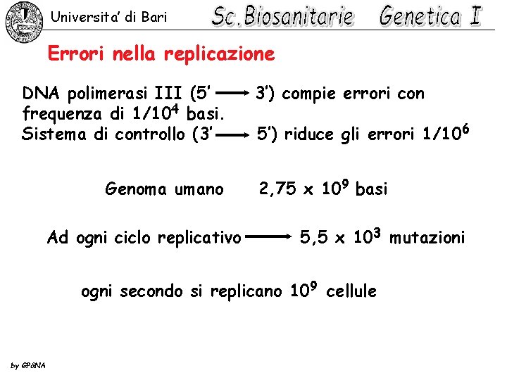 Universita’ di Bari Errori nella replicazione DNA polimerasi III (5’ frequenza di 1/104 basi.