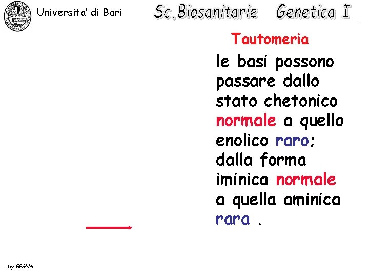 Universita’ di Bari Tautomeria le basi possono passare dallo stato chetonico normale a quello