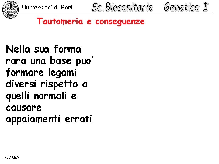 Universita’ di Bari Tautomeria e conseguenze Nella sua forma rara una base puo’ formare