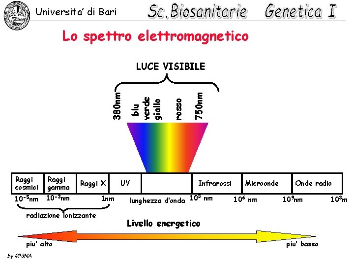 Universita’ di Bari Lo spettro elettromagnetico Raggi cosmici Raggi gamma 10 -5 nm 10