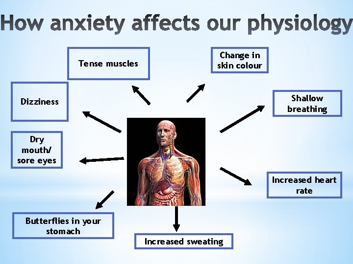 Tense muscles Change in skin colour Shallow breathing Dizziness Dry mouth/ sore eyes Increased
