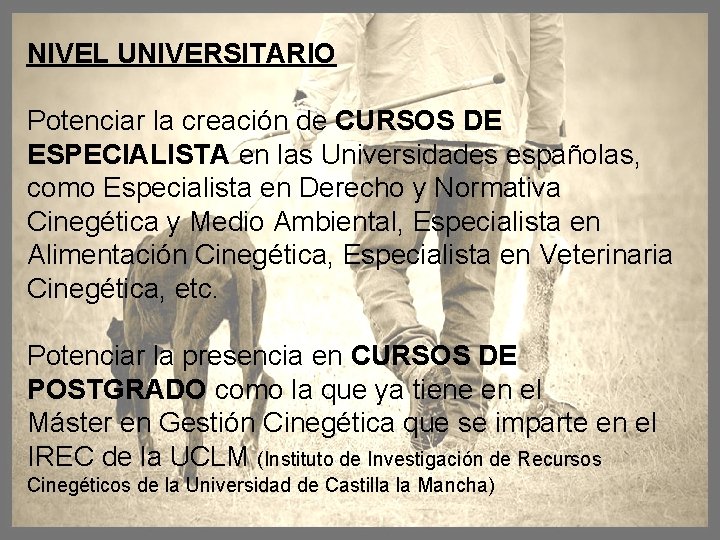 NIVEL UNIVERSITARIO Potenciar la creación de CURSOS DE ESPECIALISTA en las Universidades españolas, como