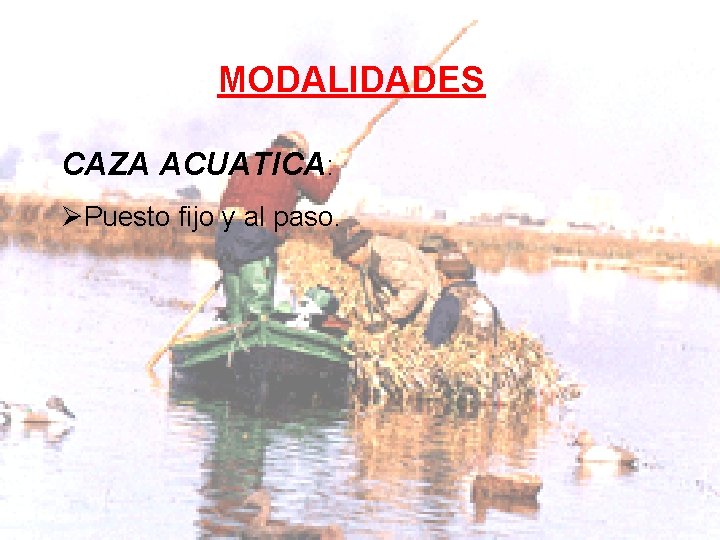 MODALIDADES CAZA ACUATICA: ØPuesto fijo y al paso. 