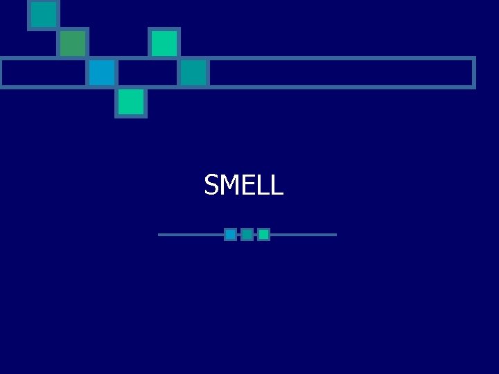 SMELL 