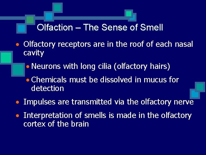 Olfaction – The Sense of Smell · Olfactory receptors are in the roof of